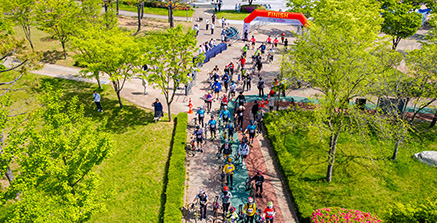 �������� �̹���